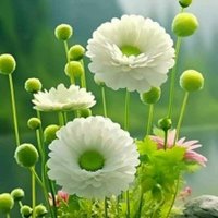 Kaveri Agasimani Mdrs Halbhavi science teacher (@bhatkandek27) 's Twitter Profile Photo Kaveri Agasimani Mdrs Halbhavi science teacher (@bhatkandek27) 's Twitter Profile Photo