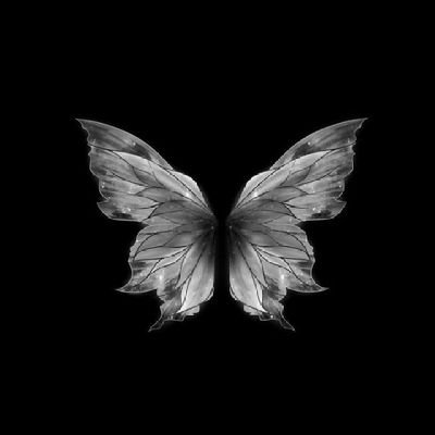 _dcus's profile picture. 