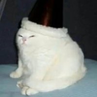 宋不远青^w^ (@song_qing10680) 's Twitter Profile Photo