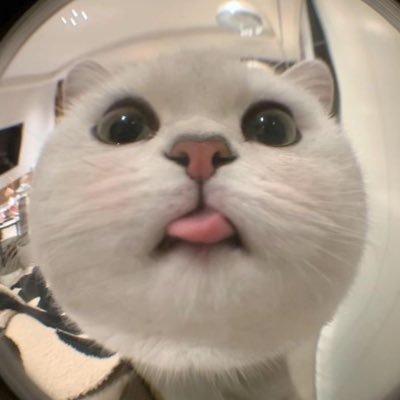 jjqtluv's profile picture. 