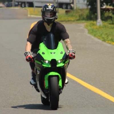 joshualcohen's profile picture. my shiba’s name is Doge.