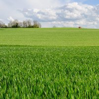 EcoLifeTips (@lifeecotips) 's Twitter Profile