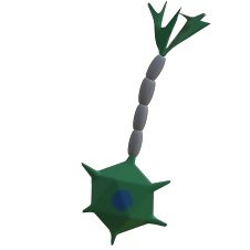drkurotaro's profile picture. 神経系の基礎生物研究者です。 読んだ論文とか、研究とか、日常生活とか。