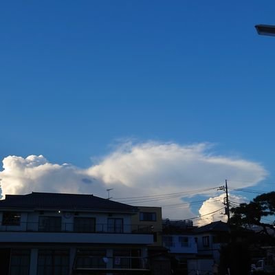 どこにでもいる真夏が好きな積乱雲  気象好き　温度風ライトユーザー 宮原颯希さんを穏やかに応援してるよ🫙 簿記勉強中