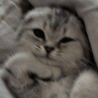 AlexaM88792's profile picture. Sheesh