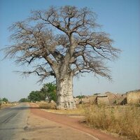 Brian Hauser (@belebahauser) 's Twitter Profile Photo