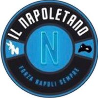 Il Napoletano (@_ilnapoletano_) 's Twitter Profile
