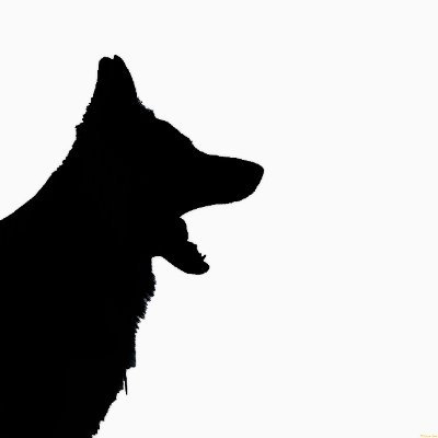 DogsAreFamily_ Profile Picture
