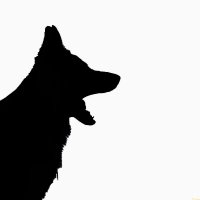 Jürgen (@dogsarefamily_) 's Twitter Profile Photo Jürgen (@dogsarefamily_) 's Twitter Profile Photo