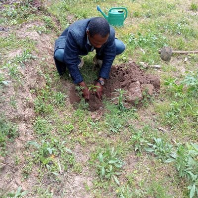 A Forester//Opacarophile//an Ornithophile//Nature-lover//Manchester United//Listener of #SundownerKBC email: validmwawana@gmail.com