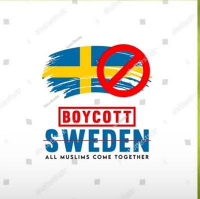 lionarm143i's profile picture. 