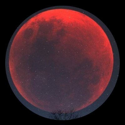 Opulent_Heart's profile picture. बलसागर भारत होवो, विश्वात शोभुनी राहो.🇮🇳🇮🇳🇮🇳