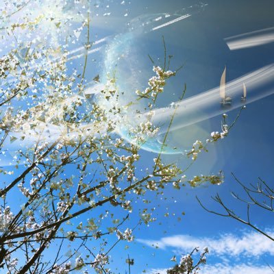 I am YFE family! I have Parkinson's disease. Writing on a smartphone is difficult. I won't lose to illness!…I recently started composing with AI.