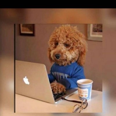 OrjiNaomi696's profile picture. I'm cancer ♋️ 
Loving making contents 
Software engineer in making ❤️