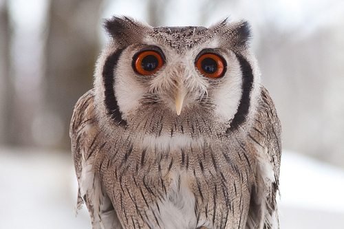 WratherWry's profile picture. Humourouse Thinges.