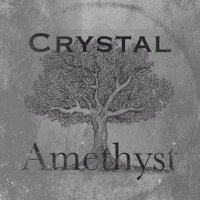 Crystal Amethyst(@CrystalAmethys7) 's Twitter Profile Photo
