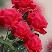 dipanjali Dil (@tejkumarsa2255) 's Twitter Profile