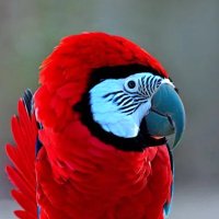 T (@t59544082) 's Twitter Profile