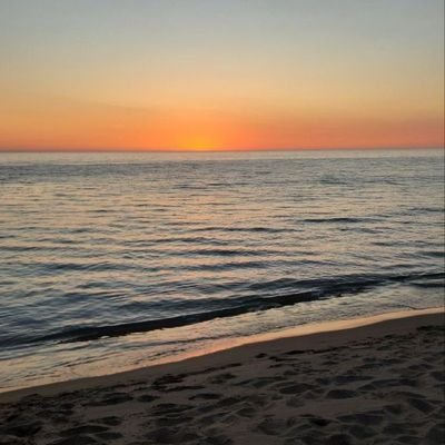 Manonnlxs's profile picture. 🎀