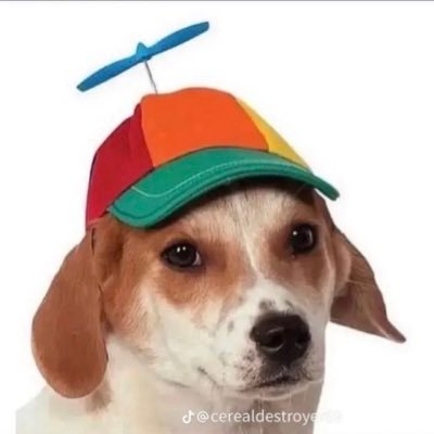 notenbar0sh's profile picture. נוט ענברוש