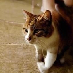 ValadezDav98234's profile picture. 