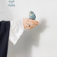 Dana (@sandwichah) 's Twitter Profile Photo