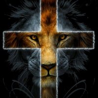 LeftSlayer (@duanemurphy12) 's Twitter Profile