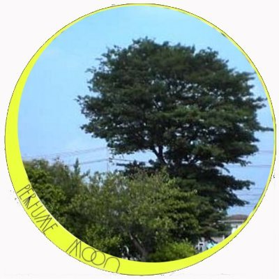 TarotG3