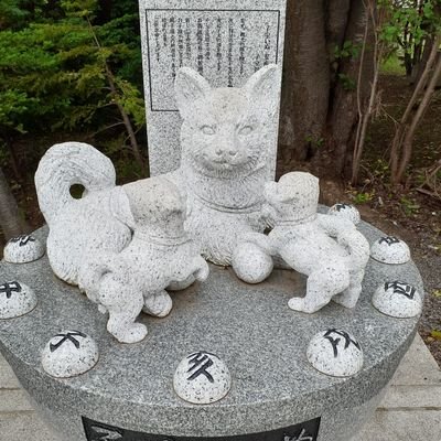 9Sarj's profile picture. 気づいたらオベヴォとトリイゾ(白)を膝にうけてた　20↑