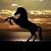 عبدالله الجكني (@abdelahi2747) Twitter profile photo عبدالله الجكني (@abdelahi2747) Twitter profile photo