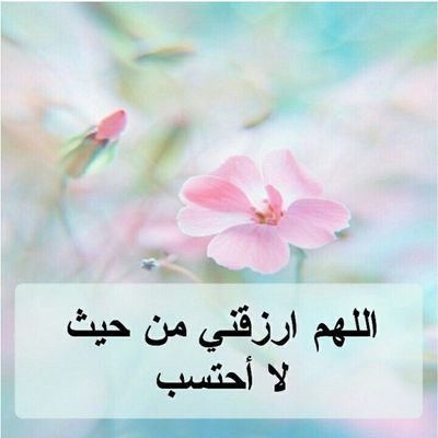 لا إله إلا الله وحده لا شريك له له الملك وله الحمد وهو على كل شيء قدير
