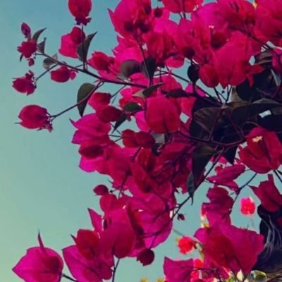اللهم إني أستودعتك خبايا قلبي اللهم وكلت إليك كل أيامي اللهم تولني ❤️
