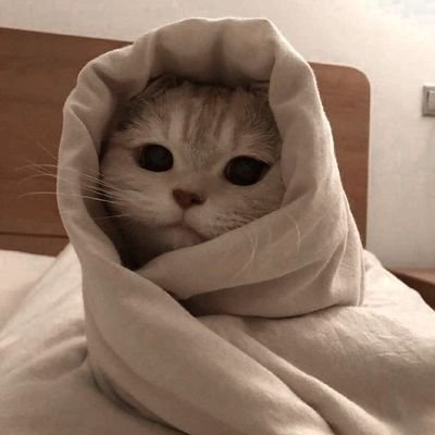 icepknsm's profile picture. 