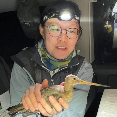 Shorebird biologist interested in phenology, climate, interspecies interactions, life-history tactics, all things shorebirds. PostDoc at MPIO. From South Korea.