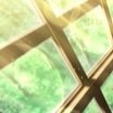☀︎さんのプロフィール画像