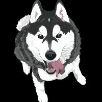 みじんこ (@tdqxbwbkueviigl) 's Twitter Profile