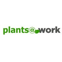 plants@work(@plants_atwork) 's Twitter Profile Photo
