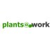 plants@work (@plants_atwork) Twitter profile photo