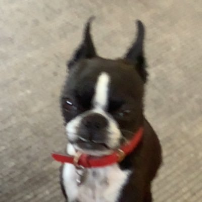 y3ehawmc's profile picture. 