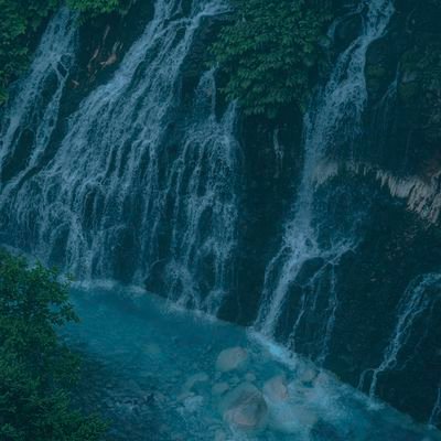 jungjung55341's profile picture. 