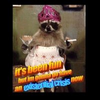 Disney’s 1st plus size princess is adult now! (@rotbalancingpte) 's Twitter Profile