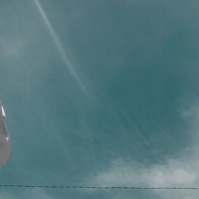 fnis_16's profile picture. .