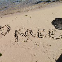 Kate (@ticat_kate) 's Twitter Profile Photo Kate (@ticat_kate) 's Twitter Profile Photo