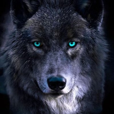 INTJ-T Eğitimcimsi, öğrenmeyi öğrenen, ortalama bir Türk...