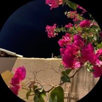abdulmalik (@hohoah36) 's Twitter Profile