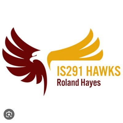 We soar with HONOR‼️We soar for ADVANCEMENT‼️We soar because we are WORTHY‼️We soar with KINDNESS‼️We soar SELFLESSLY‼️WE SOAR BECAUSE WE ARE JHS 291 HAWKS‼️