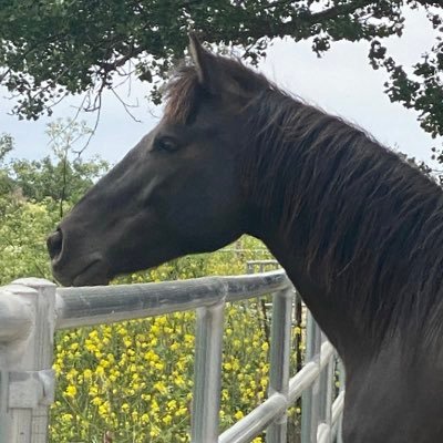 PlayerNamedSam's profile picture. 22 • she/her