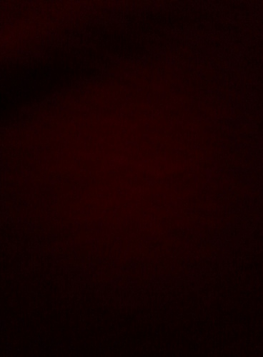 fun sexy cool!!! love sex.. and sneking out meeting boyz  lol getin fights stling ppl husbends in side jk and last but not lease makein ur fantsy come truh