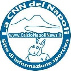 CalcioNapoliNew Profile Picture