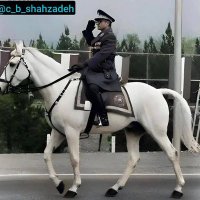 Taha Kalantari (@tahakalant18188) 's Twitter Profile